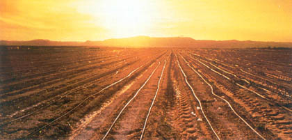 no se ha cultivado solo la tierra fértil, sino también regiones de un verdadero desierto